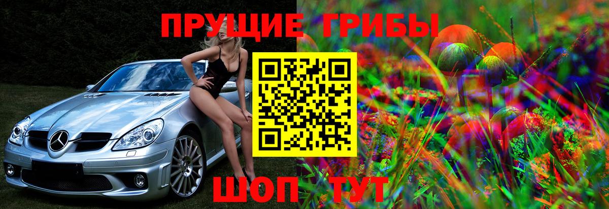 Павлово  Псилоцибиновые грибы мухоморы  Вход с VPN 