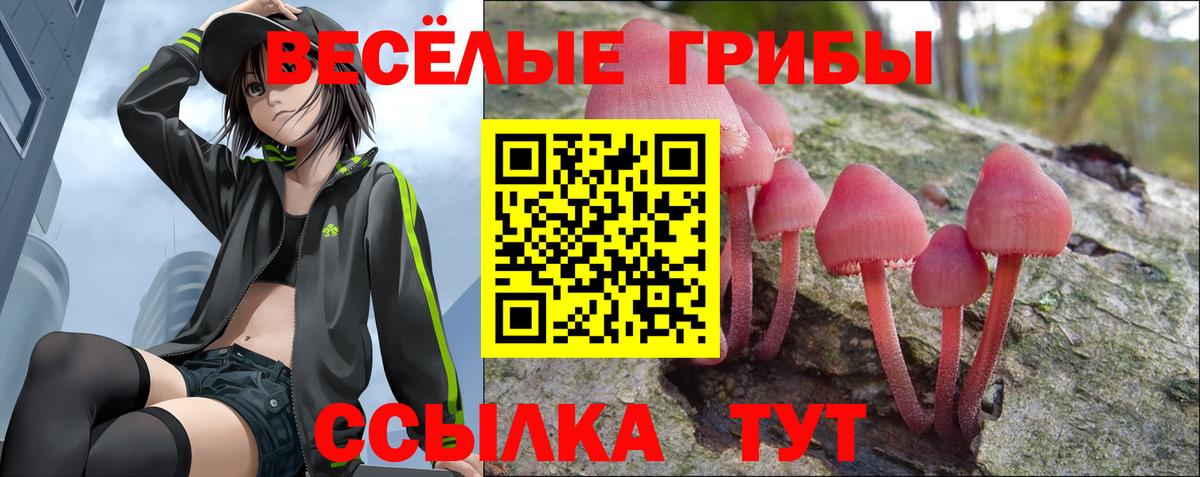 Псилоцибиновые грибы Psilocybine cubensis Павлово