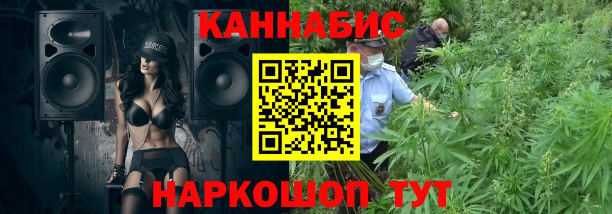 Канабис план  Вход с VPN  Павлово  Канабис THC 21%  МАРИХУАНА конопля 